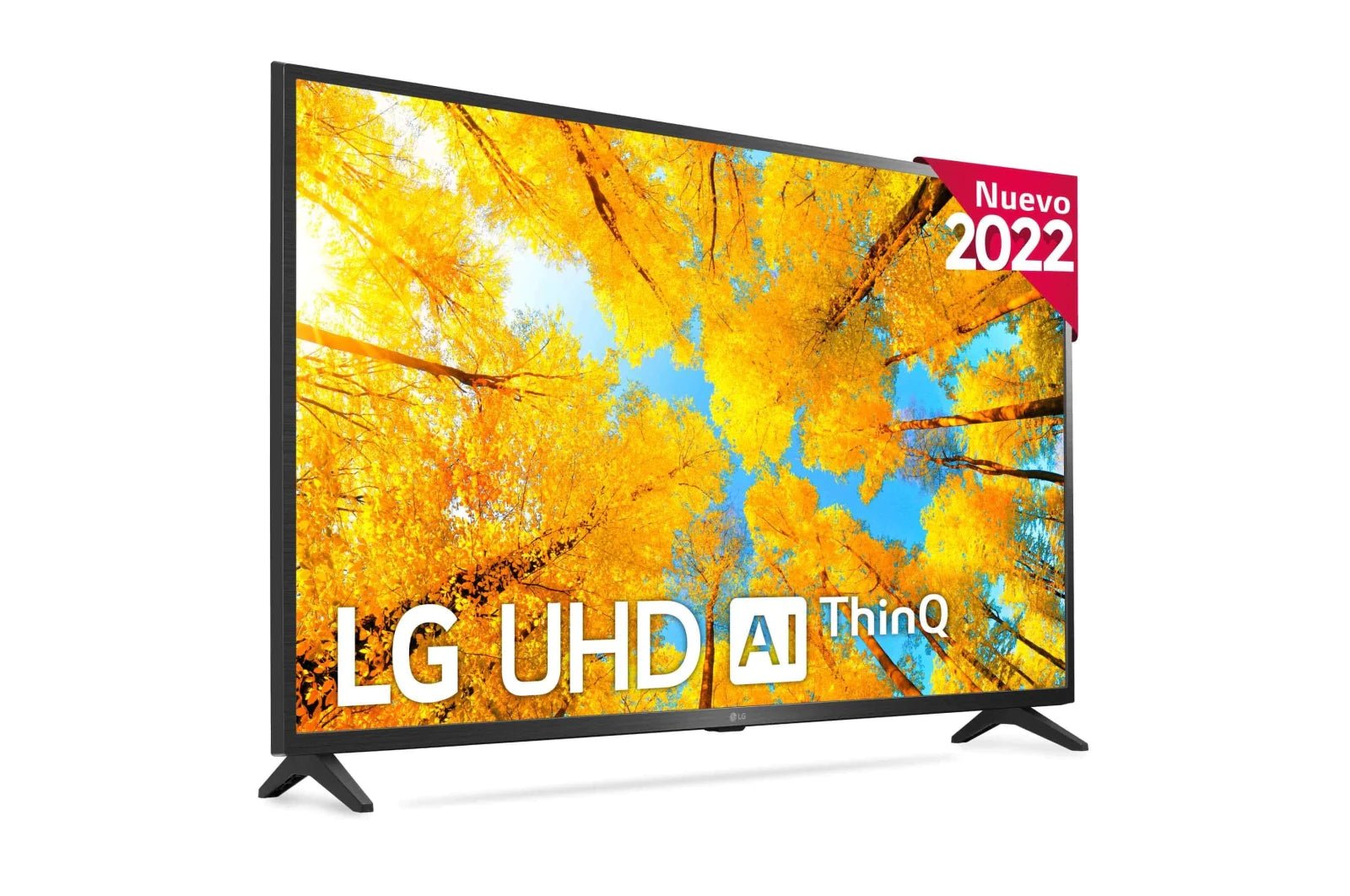 LG Smart TV 43 LG Smart TV 43